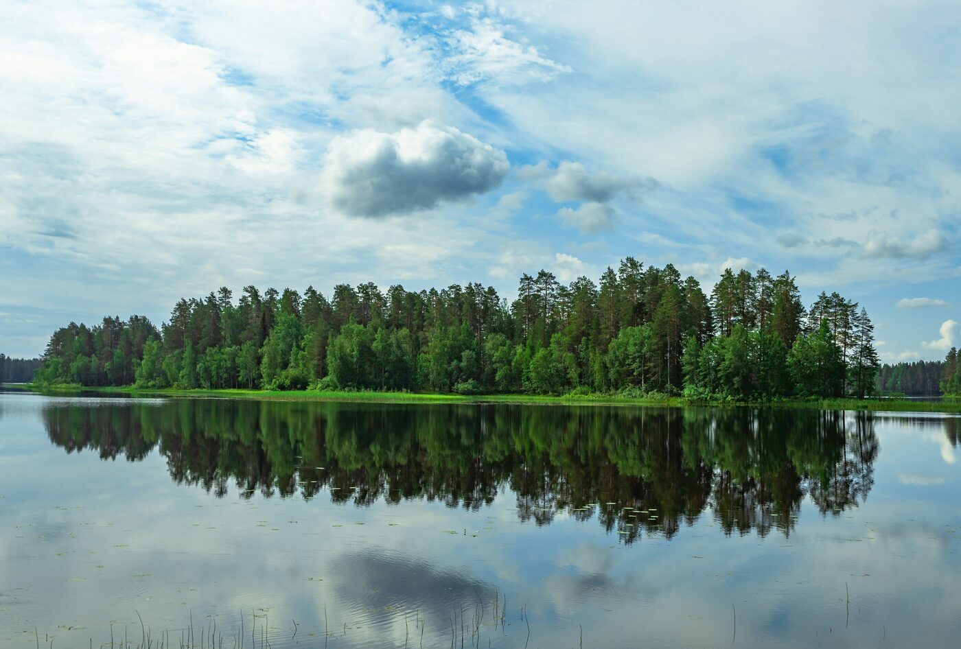 Suomalainen luonto